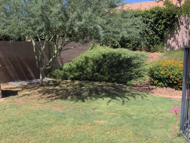 4518 East Jaeger Road Phoenix, AZ 85050 - Photo 6 of 6 Additional Photo