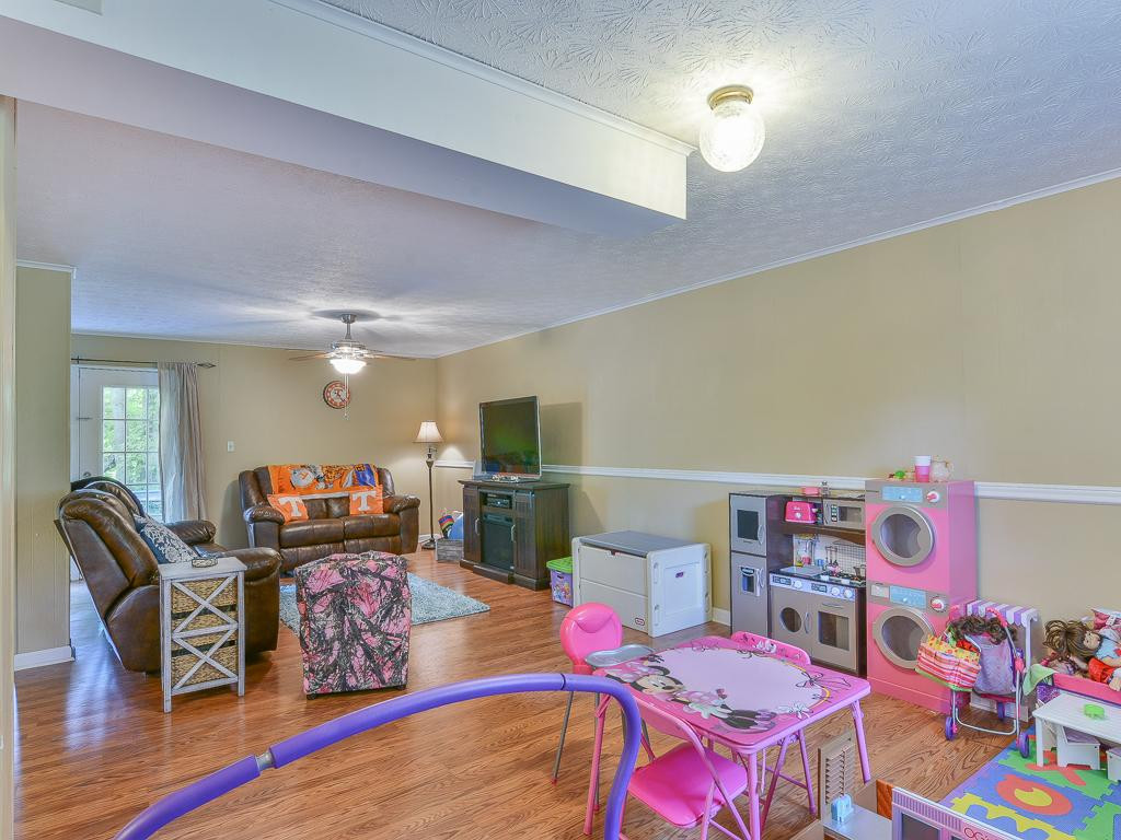 1053 Amersham Road Kingsport, TN 37660 - Photo 17 of 29 LOWER LEVEL REC ROOM