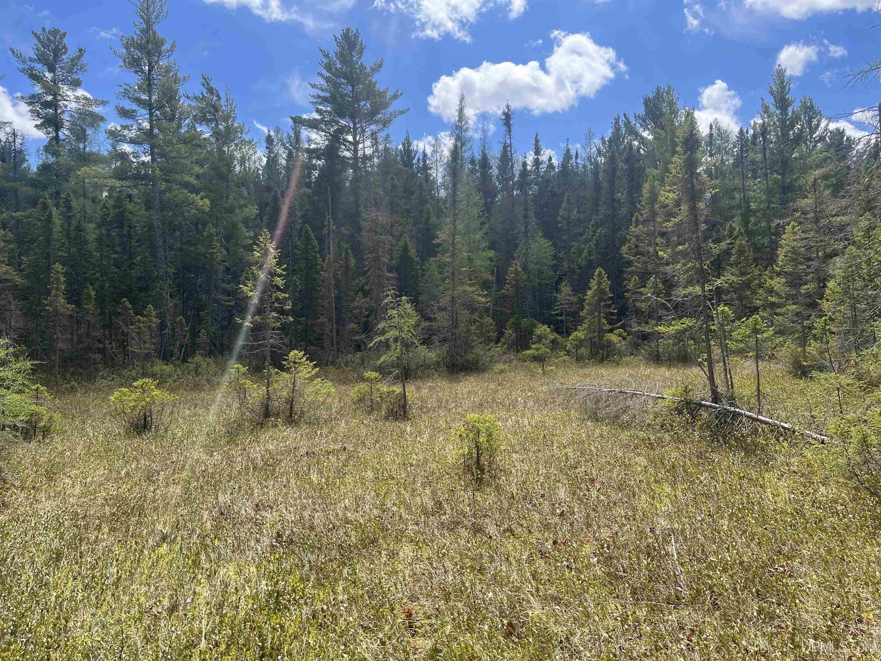 450 Rd Seney Mi 49883 Road Seney, MI 49883 - Photo 21 of 33