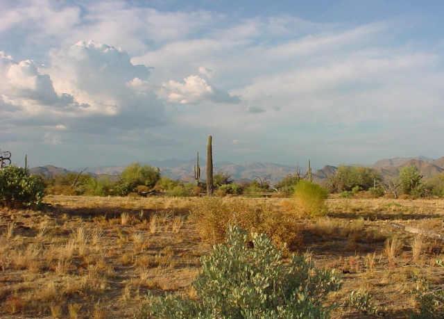 298 North 174th Street Rio Verde, AZ 85263 - Photo 2 of 6 Additional Photo