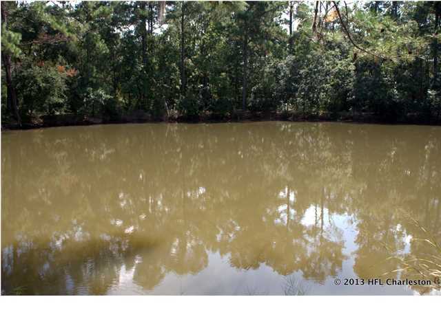 4216 Chisolm Road Johns Island, SC 29455 - Photo 6 of 22 Additional Photo