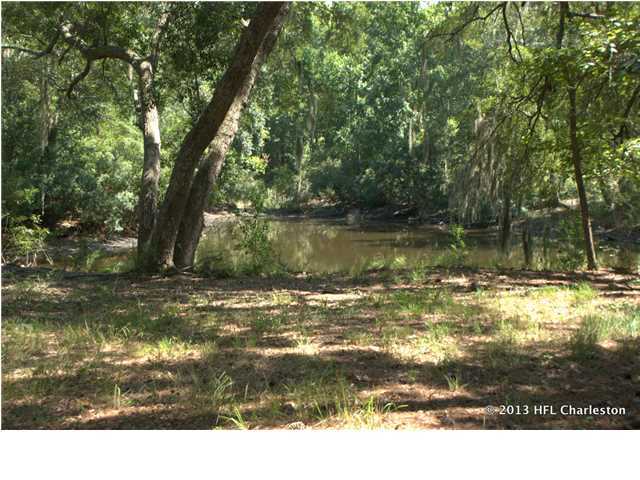 4216 Chisolm Road Johns Island, SC 29455 - Photo 8 of 22 Additional Photo