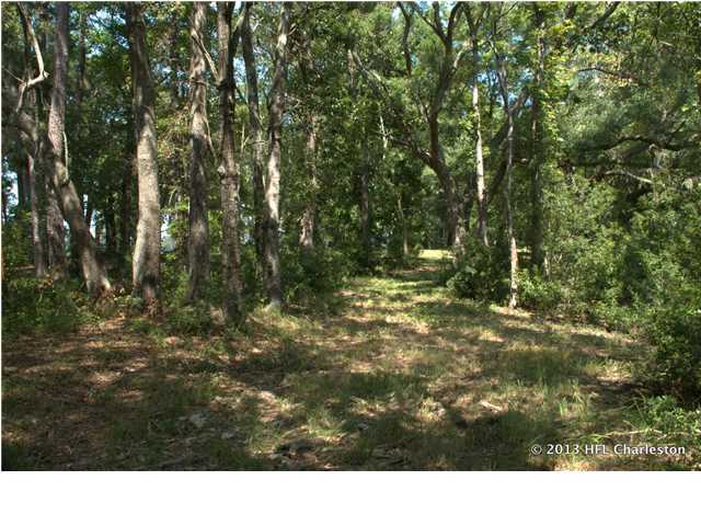 4216 Chisolm Road Johns Island, SC 29455 - Photo 10 of 22 Additional Photo