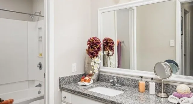 a bathroom with a granite countertop sink and a mirror
