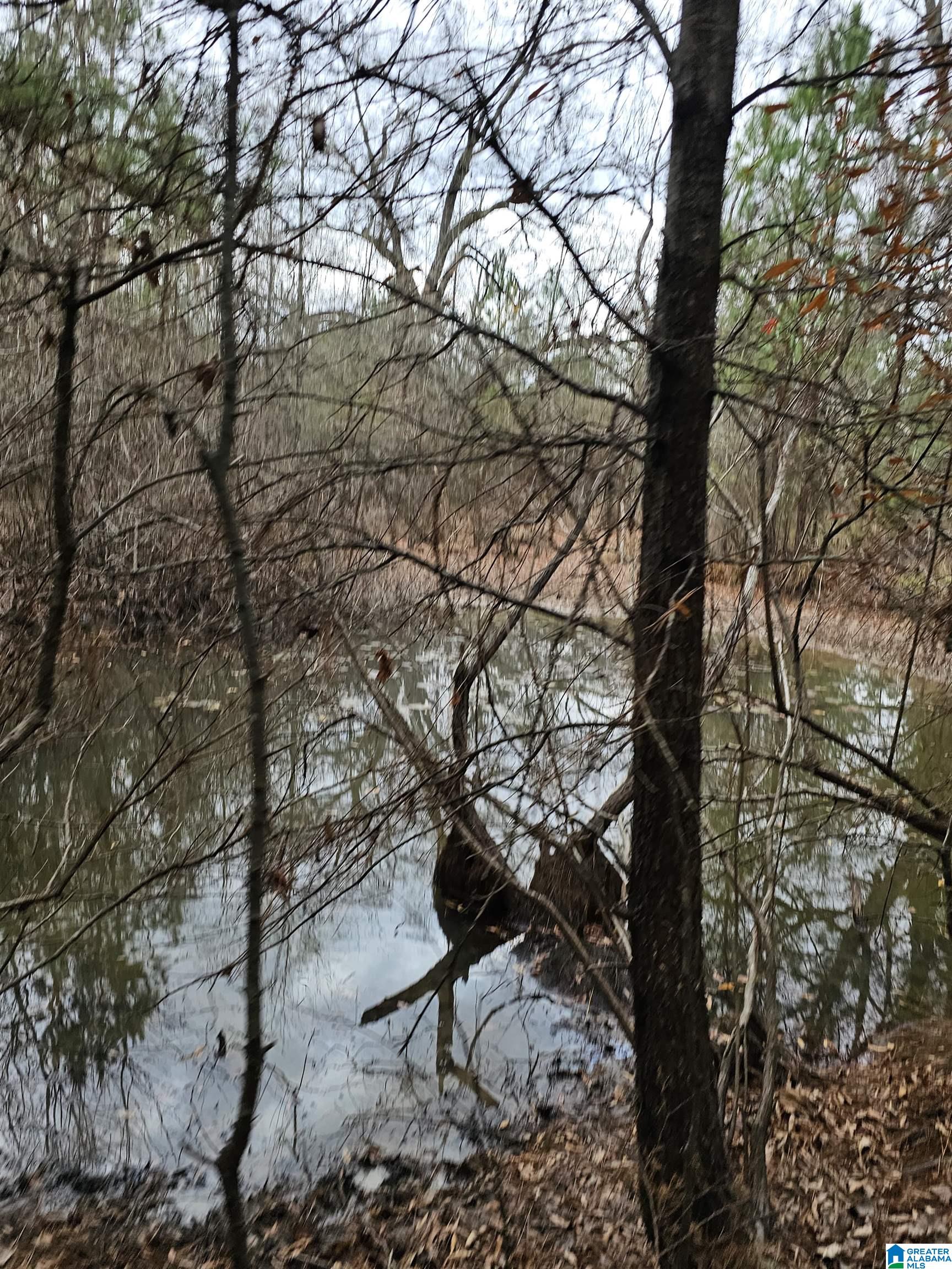 0 County Road 724 Calera, AL 35040 - Photo 11 of 18