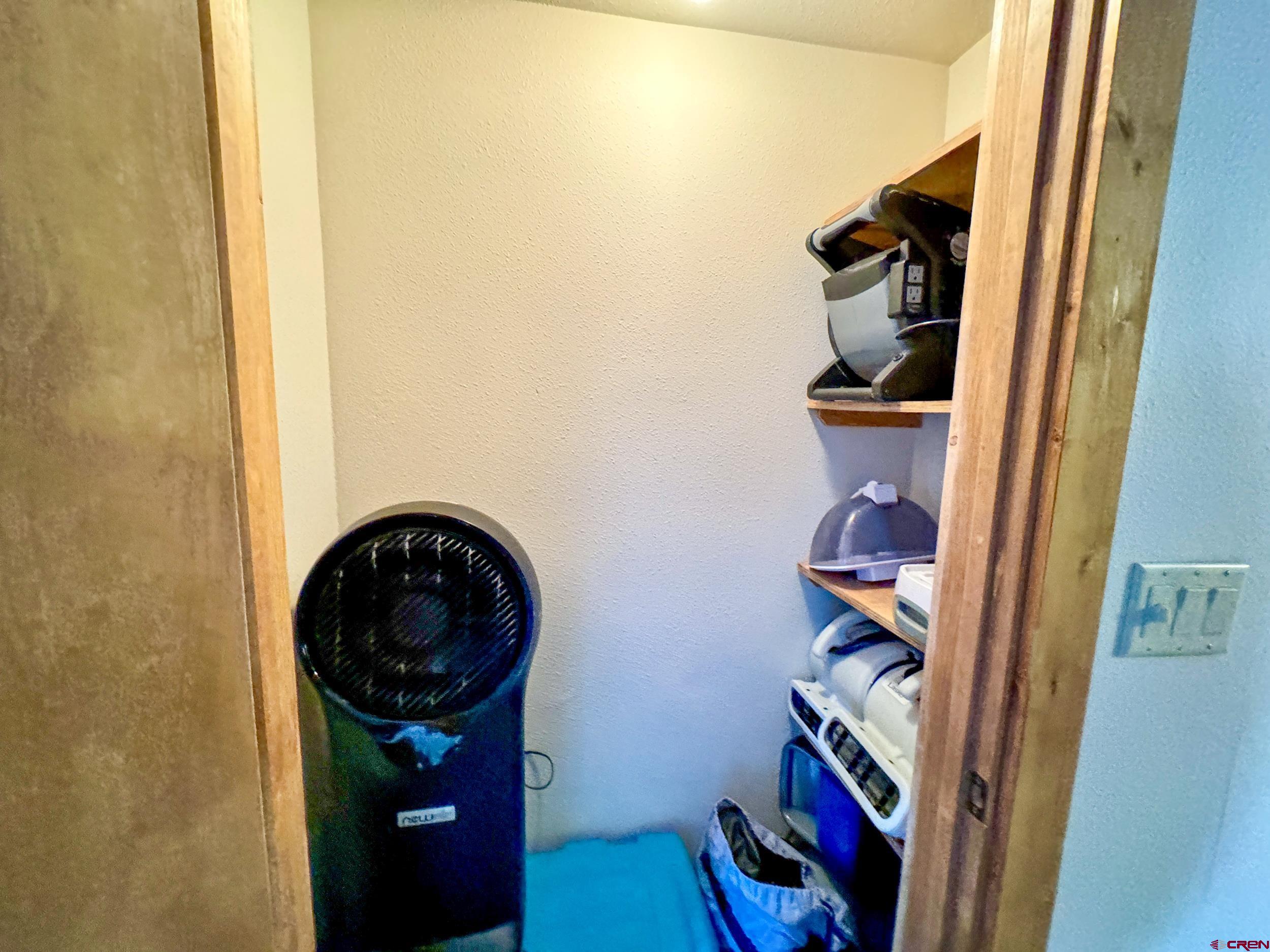 6 Emmons Road, Unit 461 Crested Butte, CO 81225 - Photo 12 of 24 Owner's closet