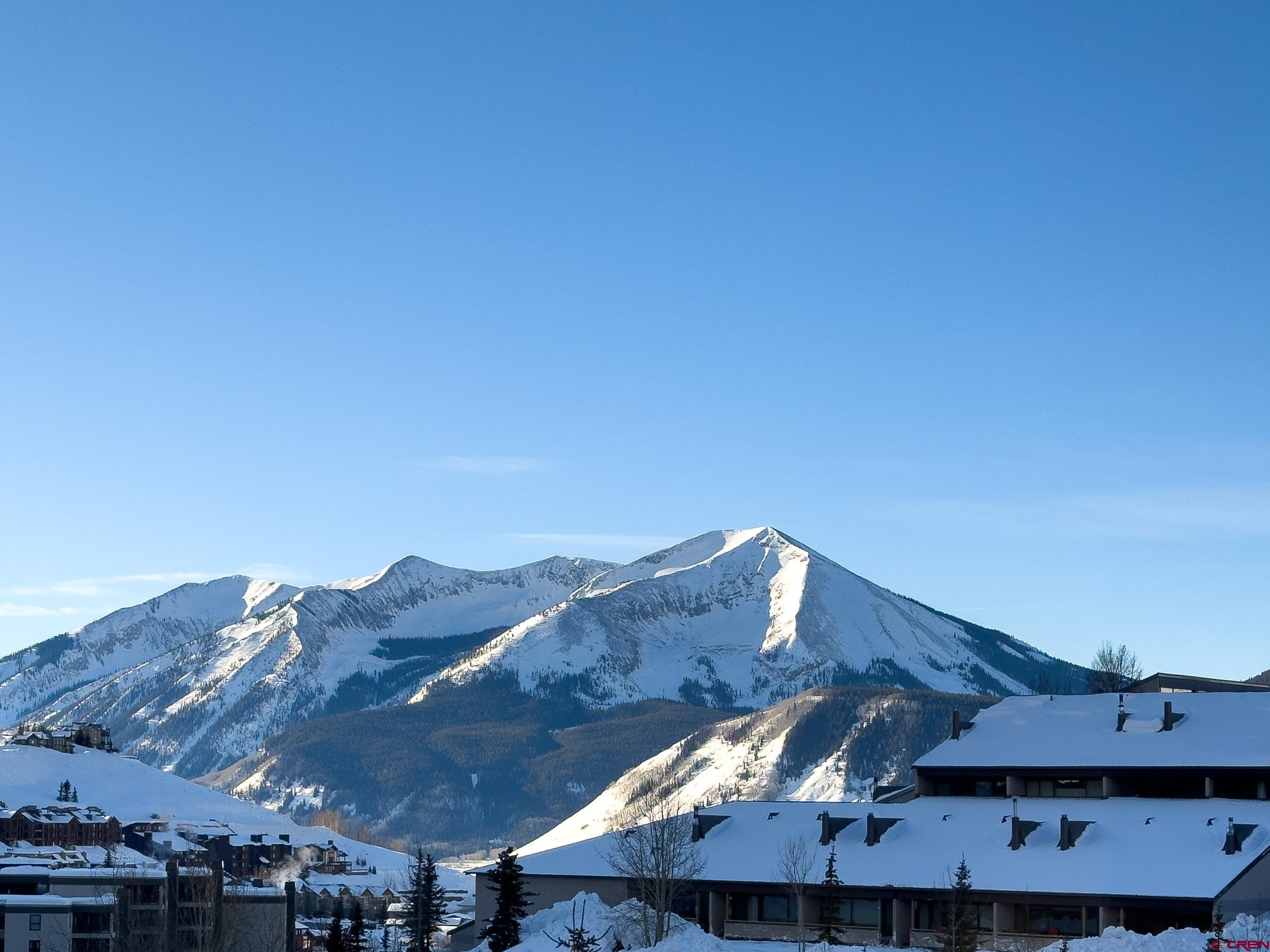 6 Emmons Road, Unit 461 Crested Butte, CO 81225 - Photo 3 of 24 Gallery Image 3