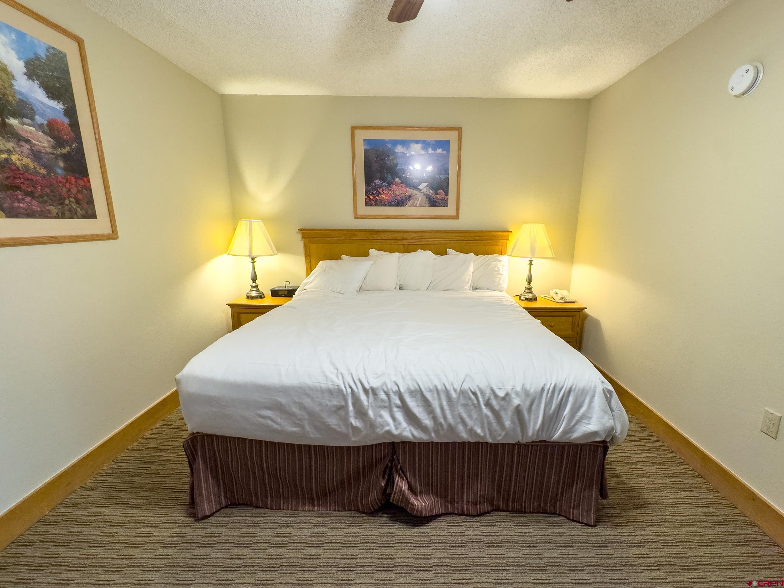 6 Emmons Road, Unit 461 Crested Butte, CO 81225 - Photo 8 of 24 Gallery Image 8