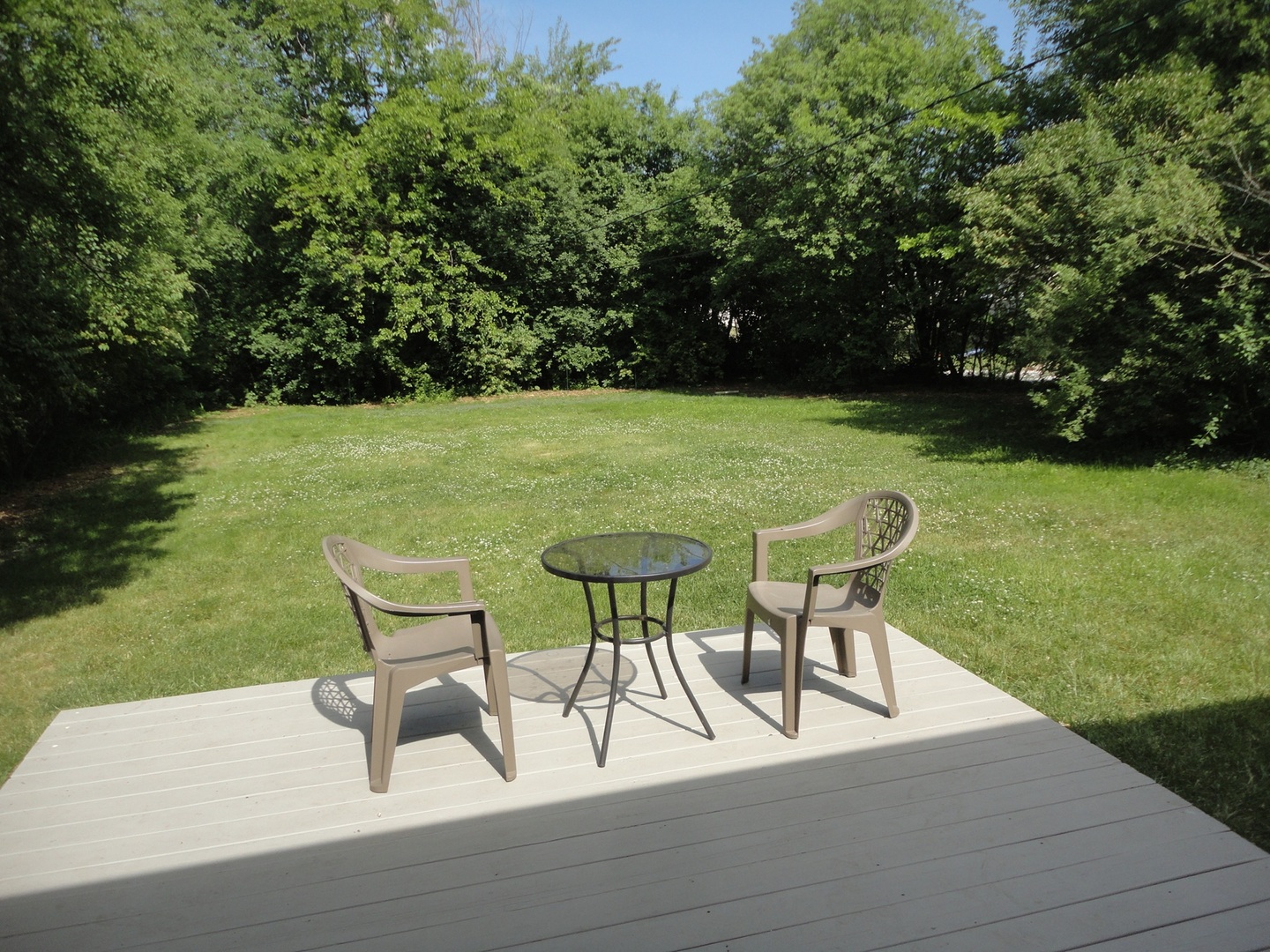 6325 Dunham Road Downers Grove, IL 60516 - Photo 15 of 19