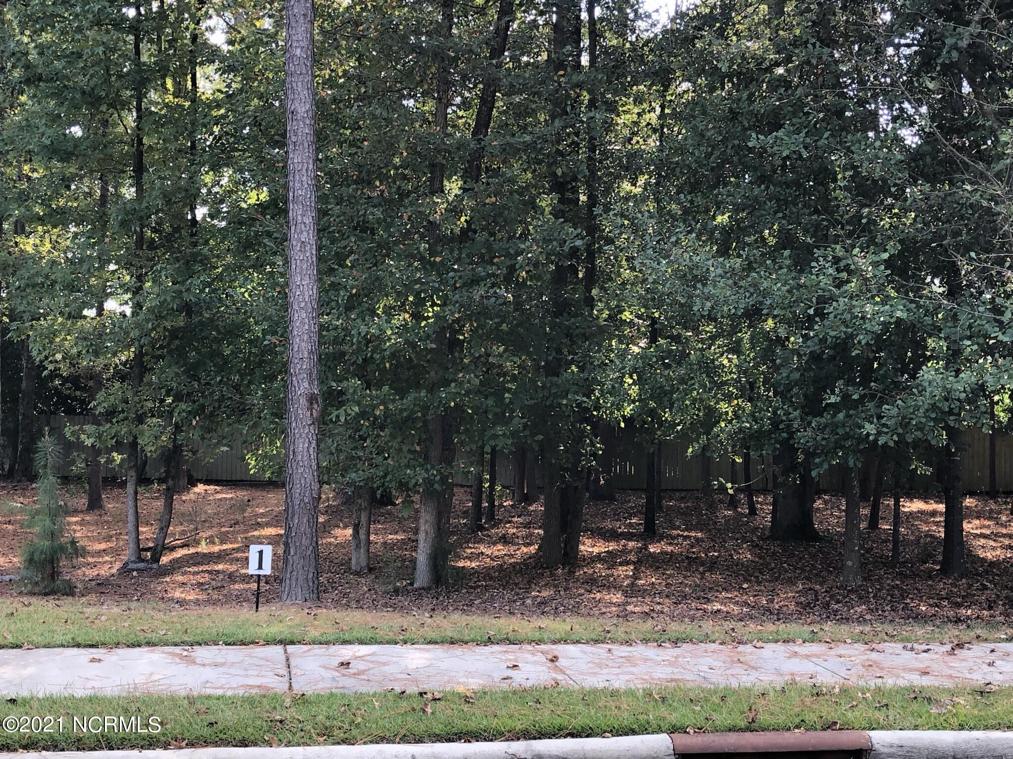 101 Village Circle Clinton, NC 28328 - Photo 3 of 11 Lot 1-