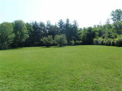 8114 North Webster Road Mount Morris, MI 48458 - Photo 4 of 12 20188290-3.JPG