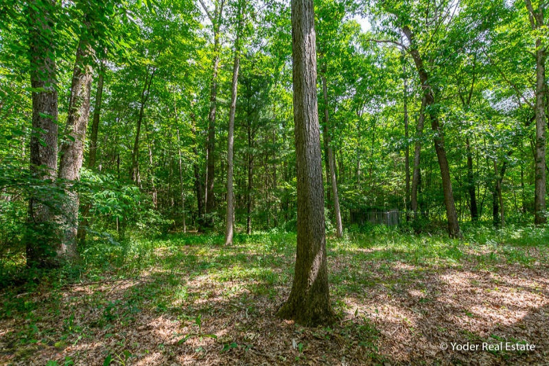 4381 Moore Road Allegan, MI 49010 - Photo 27 of 37 _DSC5123