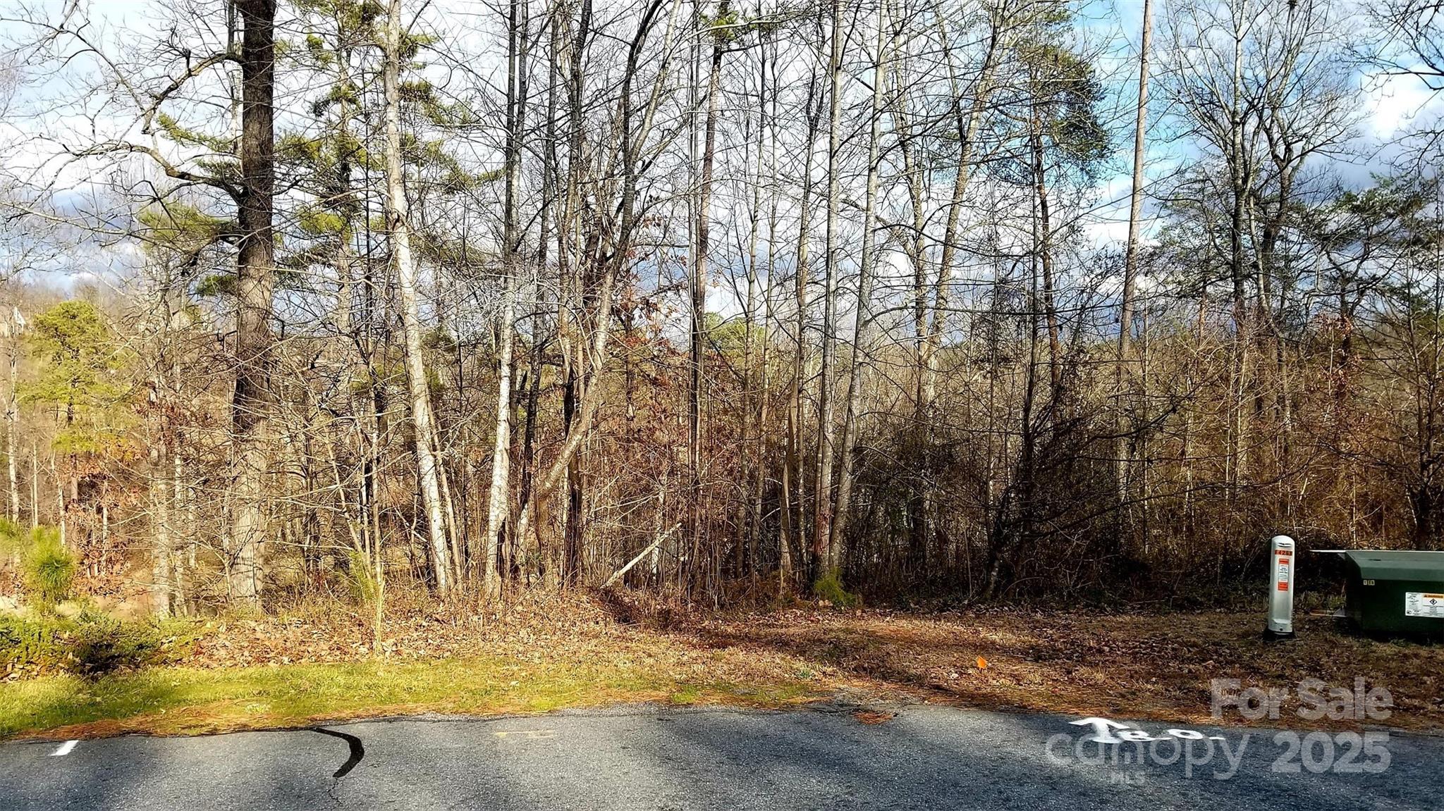 4269 Aaron Court Morganton, NC 28655 - Photo 3 of 9