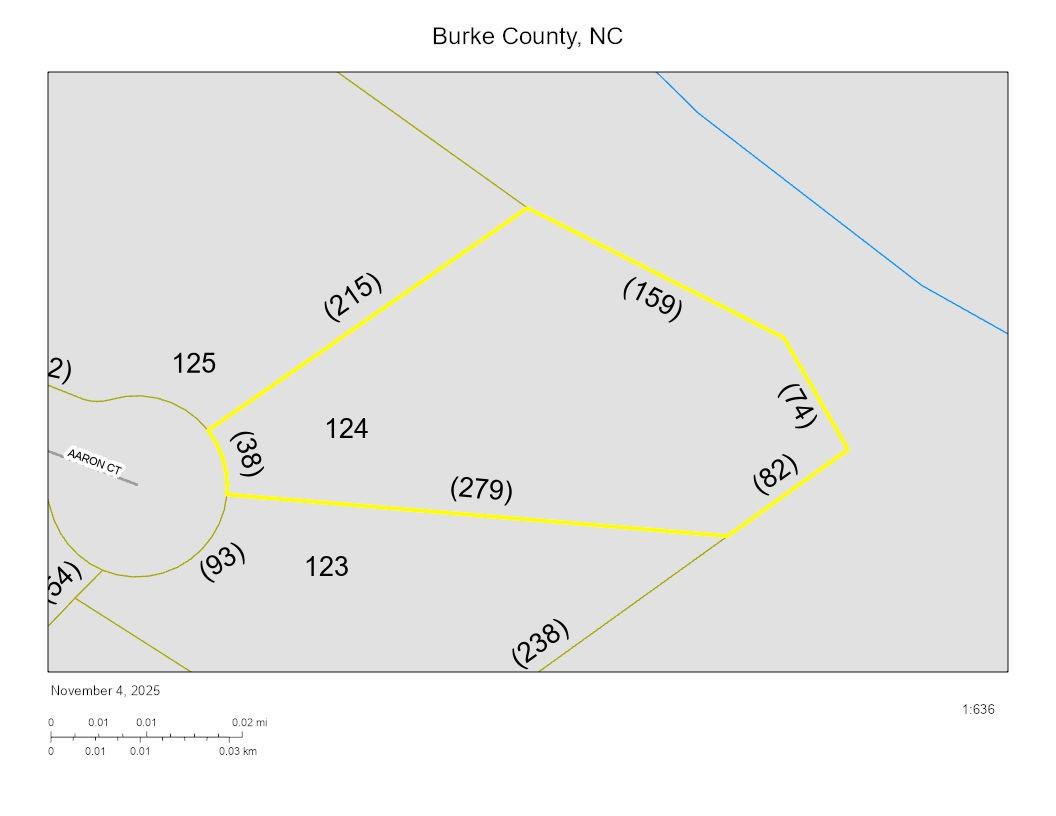 4269 Aaron Court Morganton, NC 28655 - Photo 4 of 9 a view of a wall painting