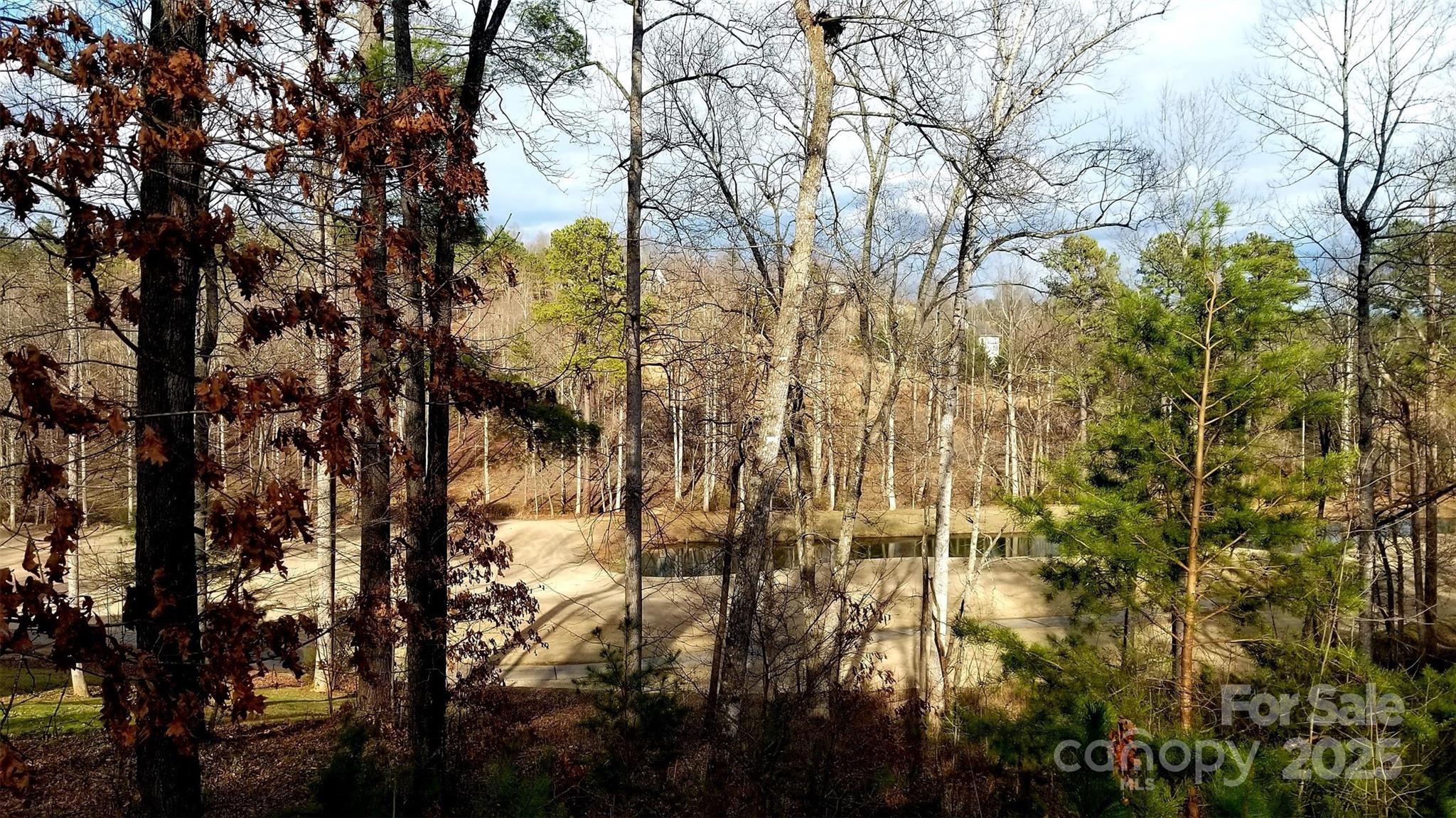 4269 Aaron Court Morganton, NC 28655 - Photo 6 of 9