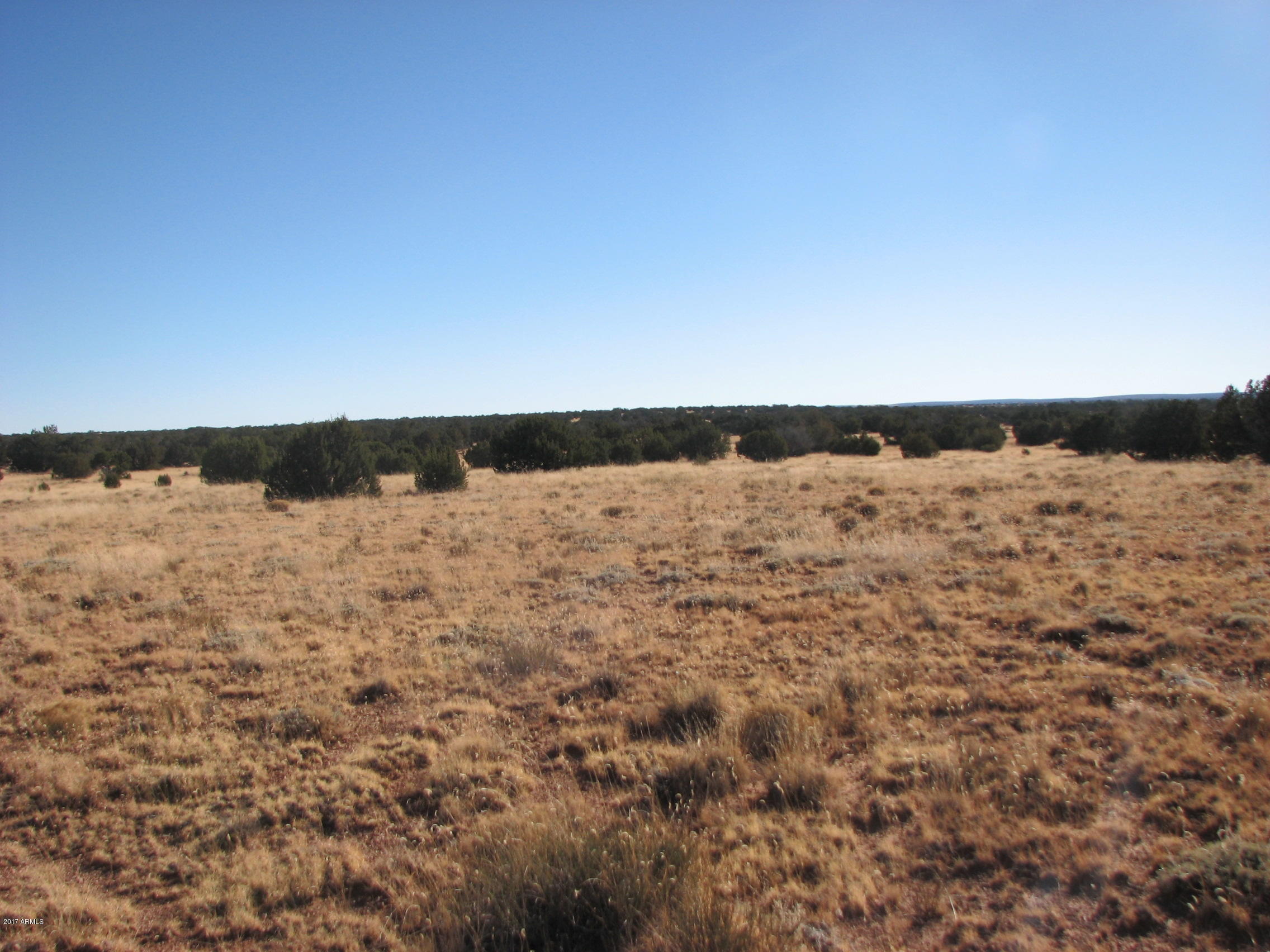 Lot 63-ccr Cow Bell Road, Unit 63 Heber, AZ 85928 - Photo 3 of 7 3