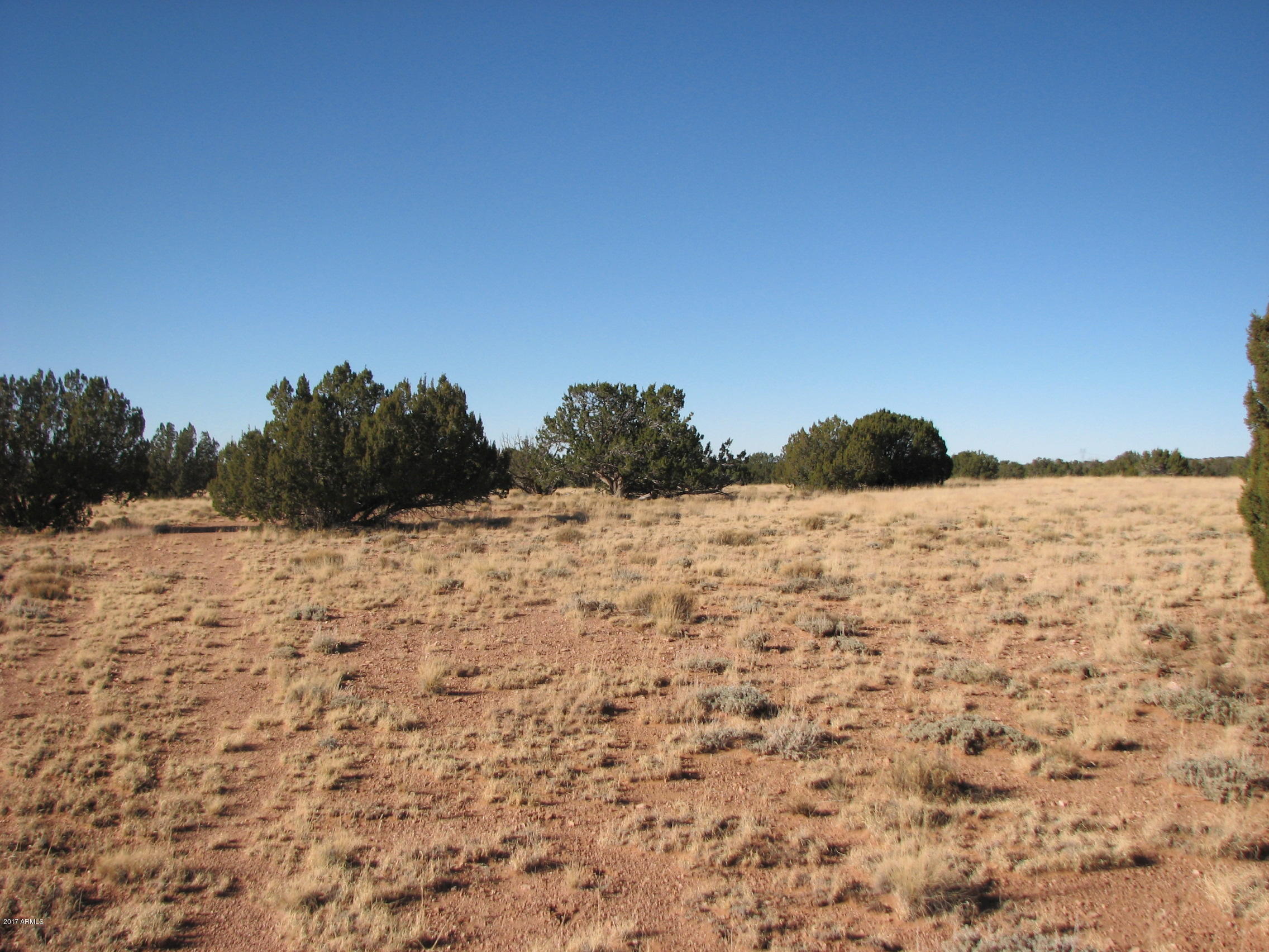 Lot 63-ccr Cow Bell Road, Unit 63 Heber, AZ 85928 - Photo 4 of 7 4