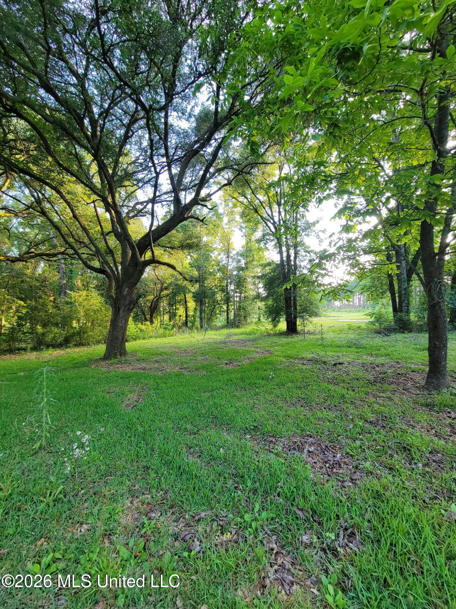 2203 Cooks Corner Road Lucedale, MS 39452 - Photo 4 of 14 03