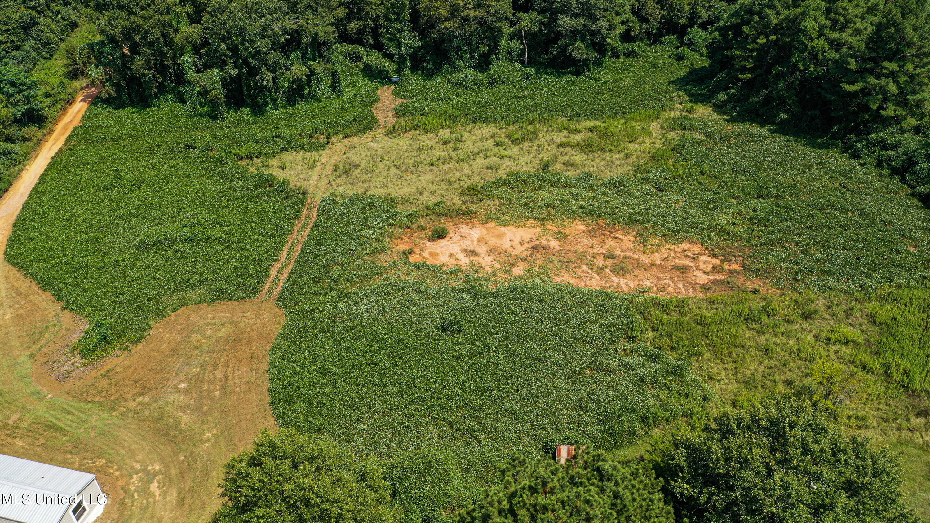 7749 Hickory Little Rock Road Decatur, MS 39327 - Photo 13 of 33 DJI_0961