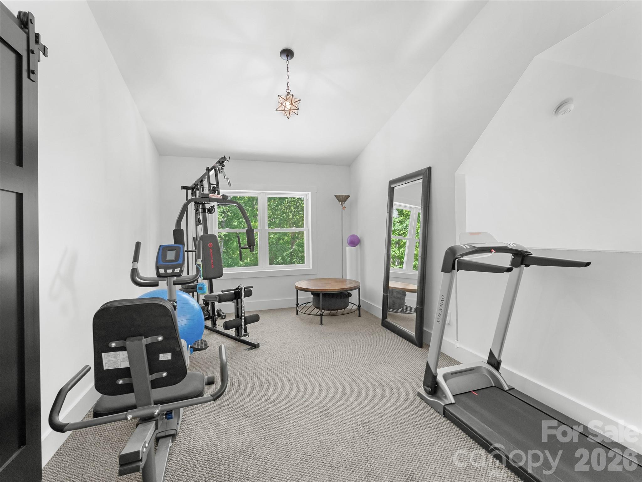 852 Marshall Ridge Road Hendersonville, NC 28792 - Photo 22 of 47