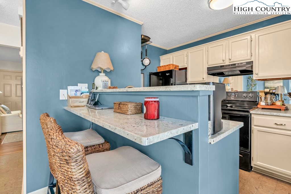 129 Bunny Lane, Unit E1 Boone, NC 28607 - Photo 8 of 16