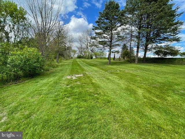 378 Tea Creek Road Reedsville, PA 17084 - Photo 35 of 41 a view of yard with green space