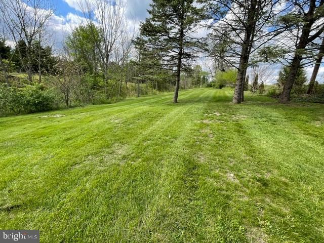 378 Tea Creek Road Reedsville, PA 17084 - Photo 36 of 41 a view of yard with tree