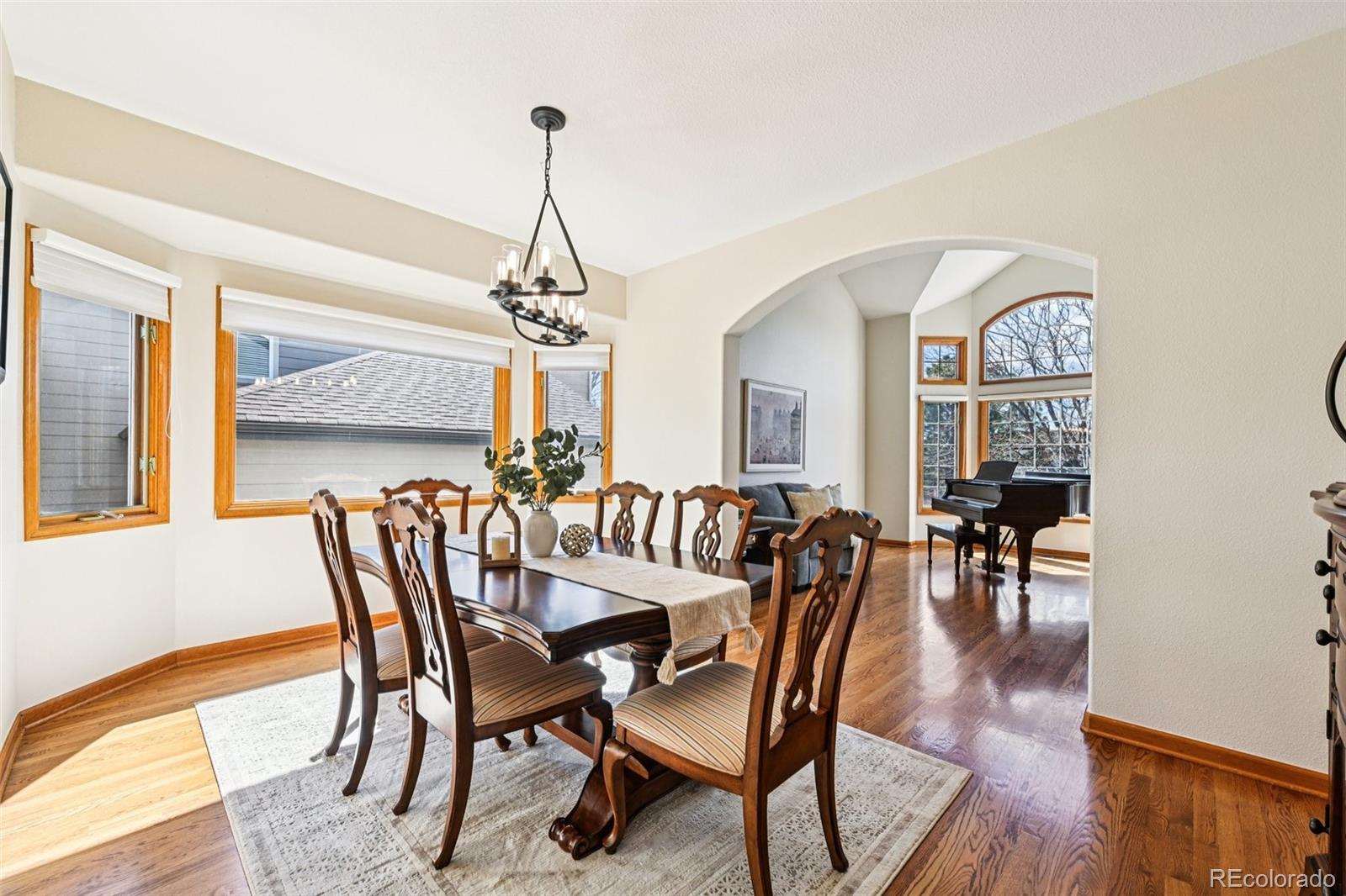 10166 Knoll Circle Highlands Ranch, CO 80130 - Photo 18 of 37