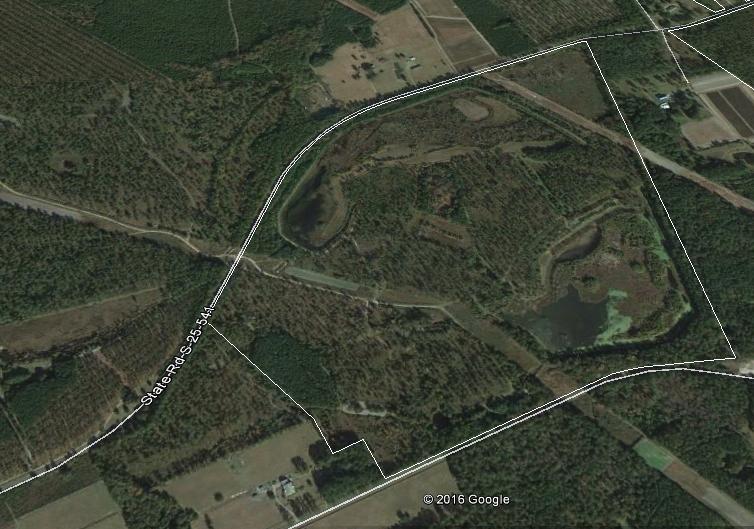0 Ram Horn Road Varnville, SC 29944 - Photo 1 of 18 Sanct aerial