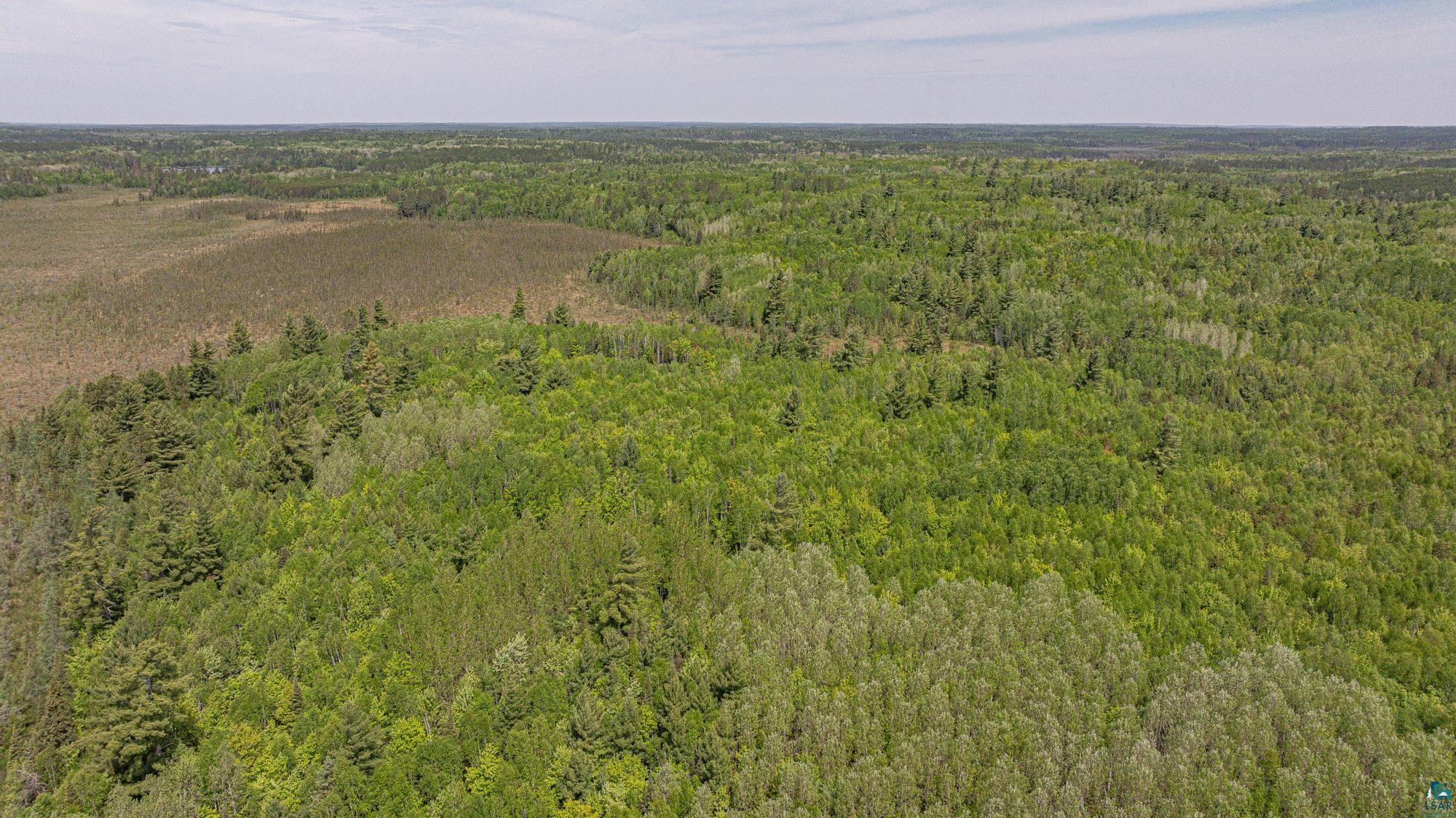 Tbd Tbd Muckwa Lake Road Babbitt, MN 55706 - Photo 31 of 54