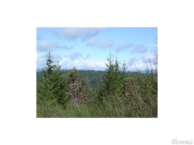 4 Northeast Klahowya Road Belfair, WA 98528 - Photo 1 of 1 Gallery Image 1