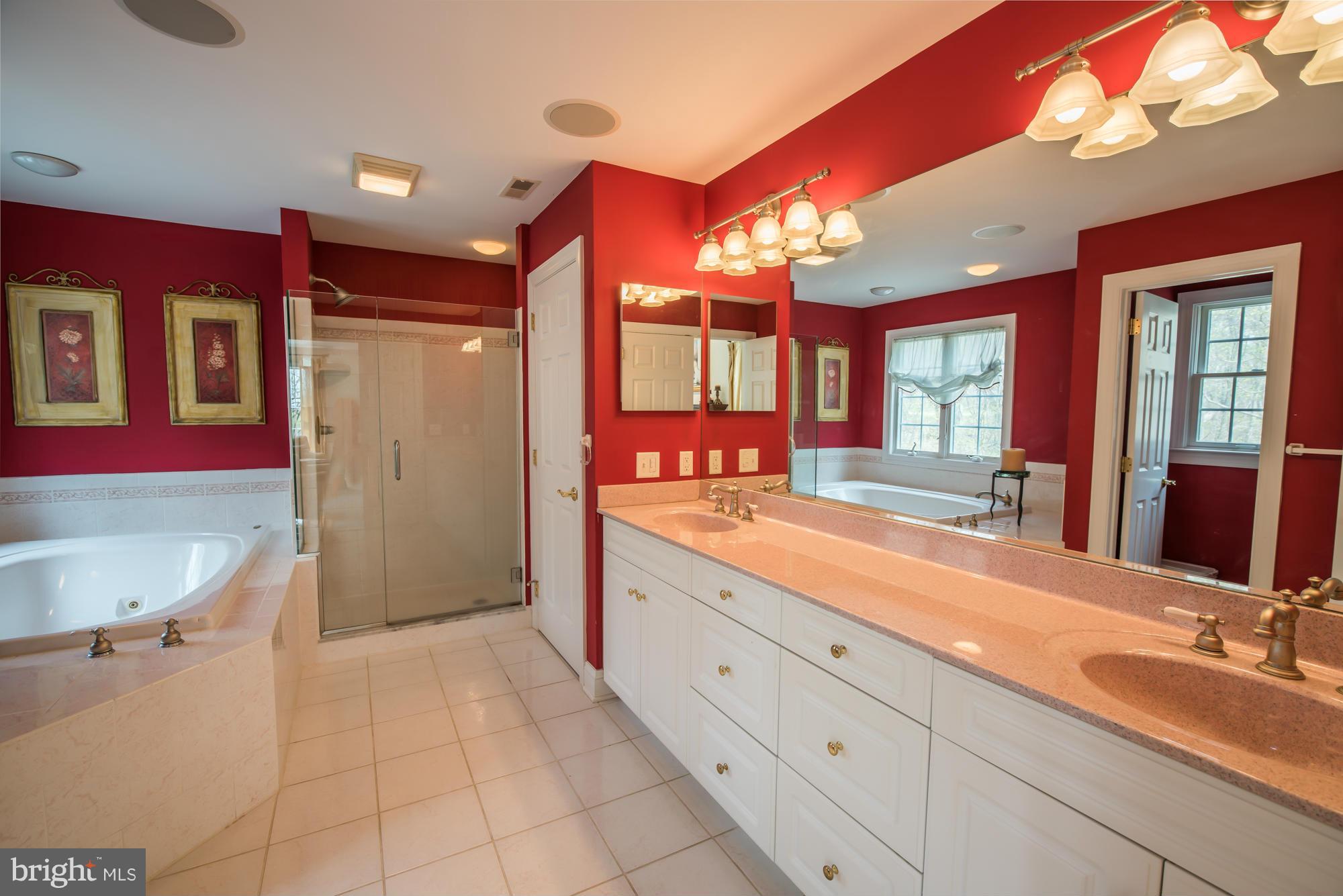 17143 Wesley Chapel Road Monkton, MD 21111 - Photo 17 of 30 Bath (Master)