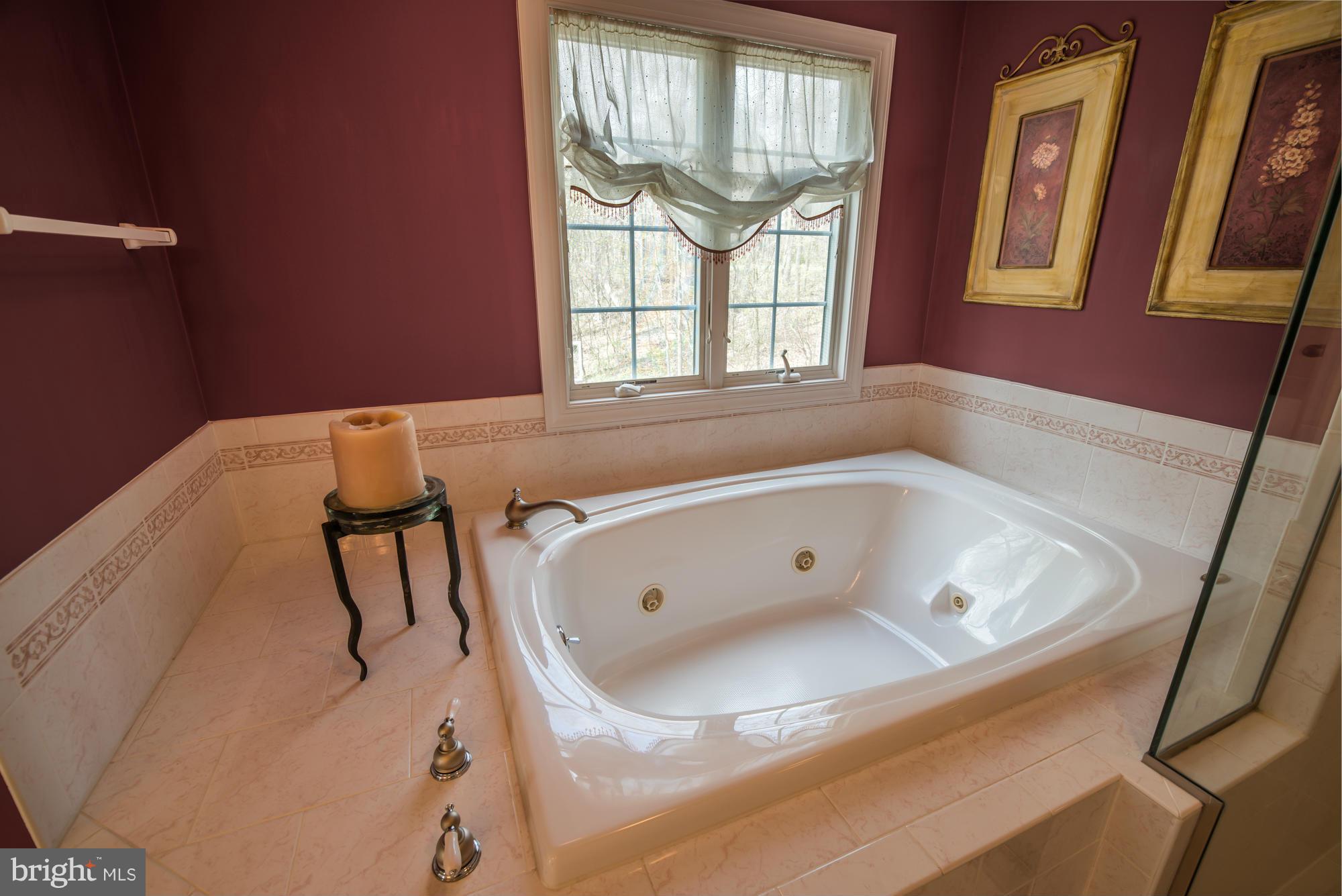 17143 Wesley Chapel Road Monkton, MD 21111 - Photo 18 of 30 Bath (Master)