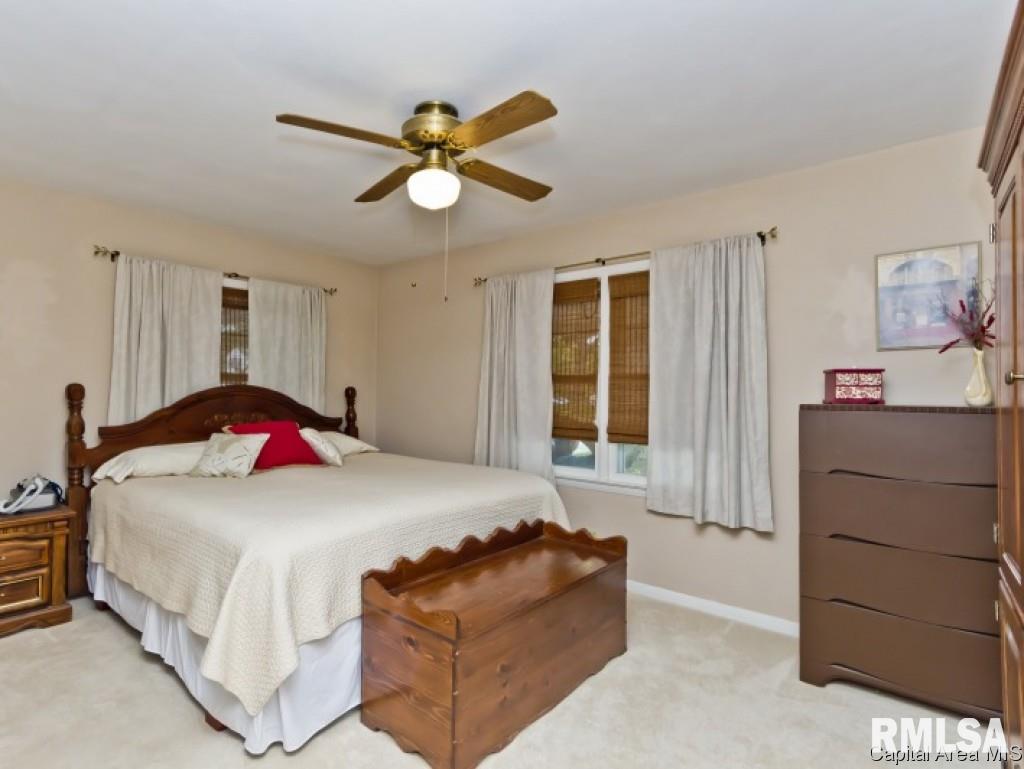 1713 West Lawrence Avenue Springfield, IL 62704 - Photo 19 of 36 Gallery Image 19