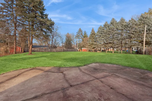 a view of a field with large trees