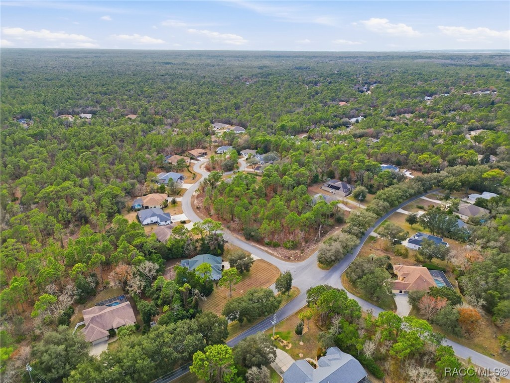 2 Nephthytis Court Homosassa, FL 34446 - Photo 13 of 21
