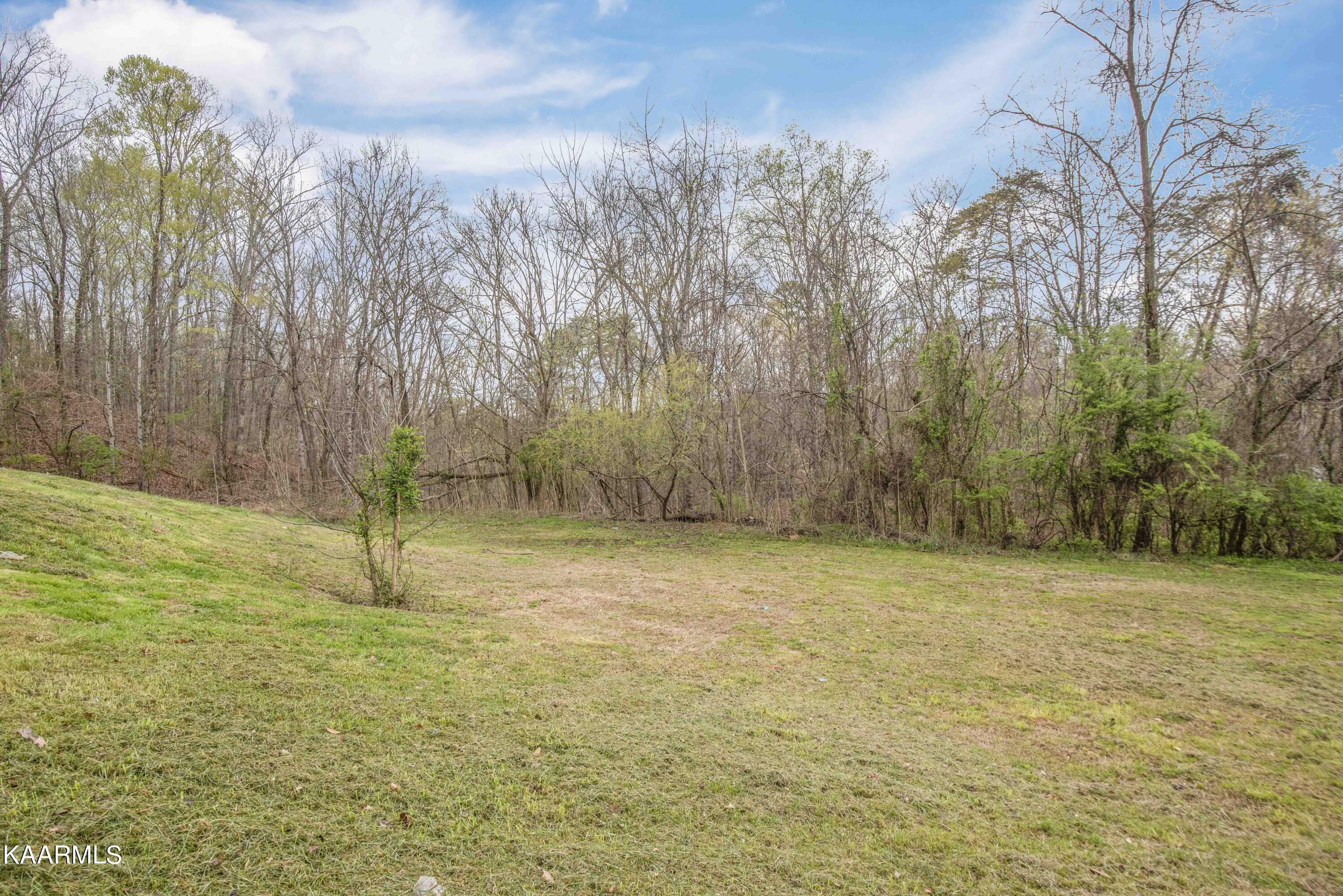 7809 Swaggerty Road Knoxville, TN 37920 - Photo 43 of 46 yard 7_1