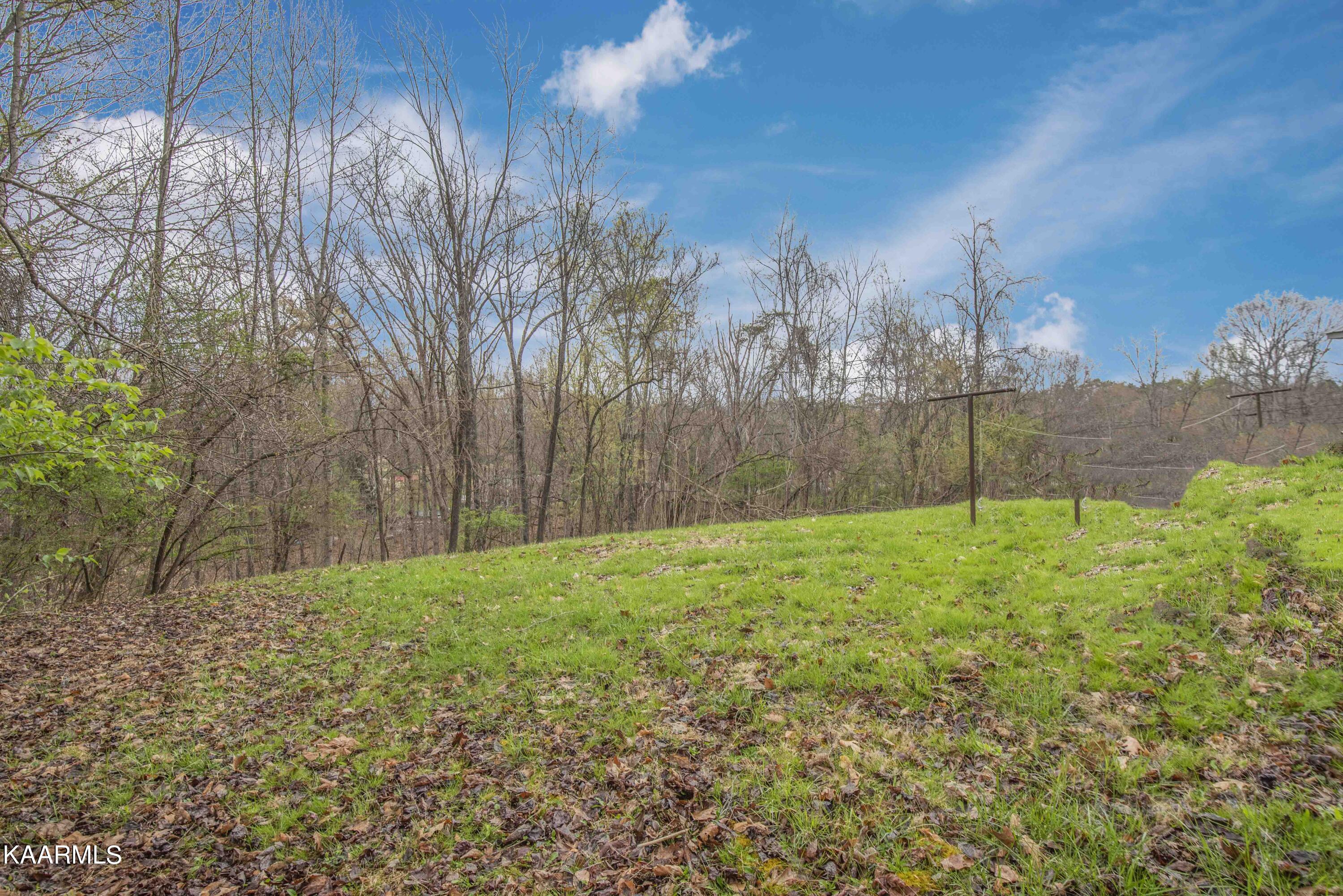 7809 Swaggerty Road Knoxville, TN 37920 - Photo 45 of 46 yard_1