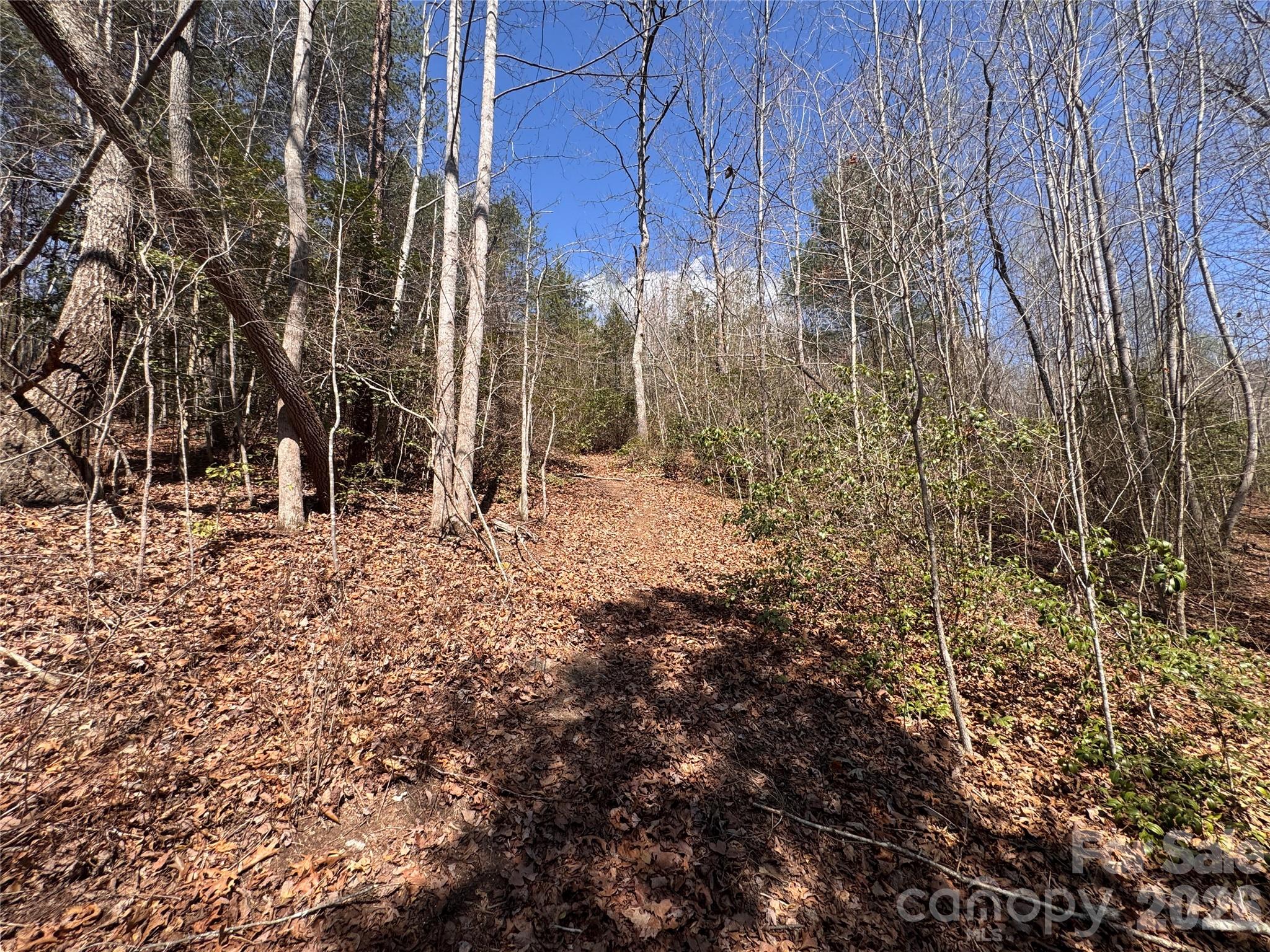 335 Woodrow Hoyle Road Casar, NC 28020 - Photo 11 of 32