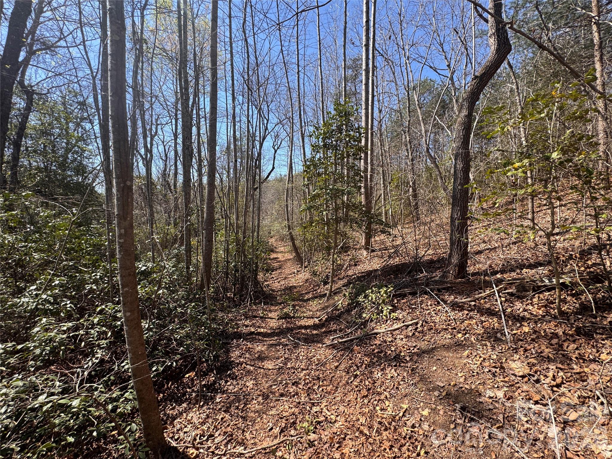 335 Woodrow Hoyle Road Casar, NC 28020 - Photo 12 of 32 a view of a backyard with trees