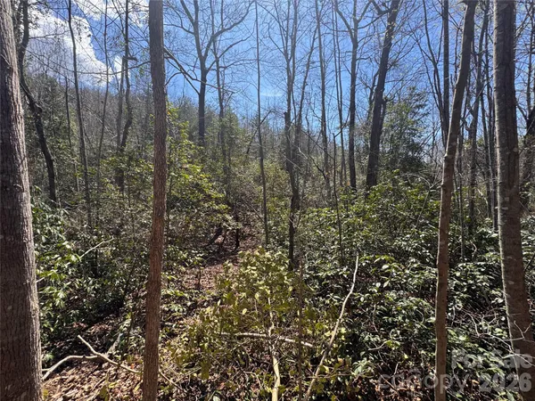 a view of yard with trees