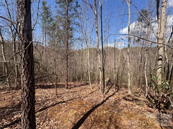 a view of a backyard of the house