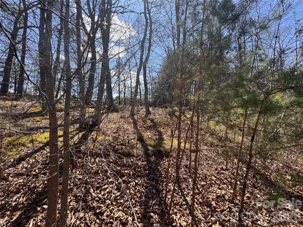 a view of outdoor space and a yard