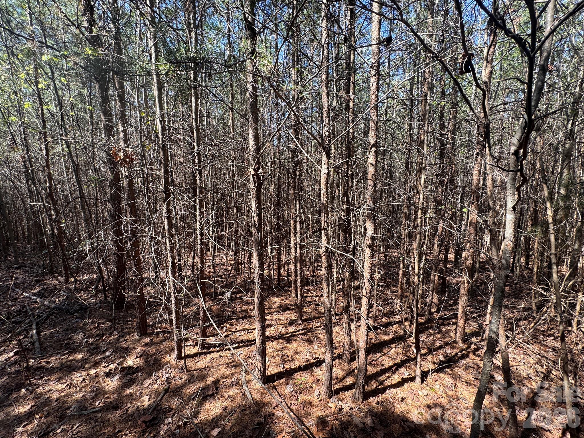 335 Woodrow Hoyle Road Casar, NC 28020 - Photo 22 of 32 a view of outdoor space and a yard