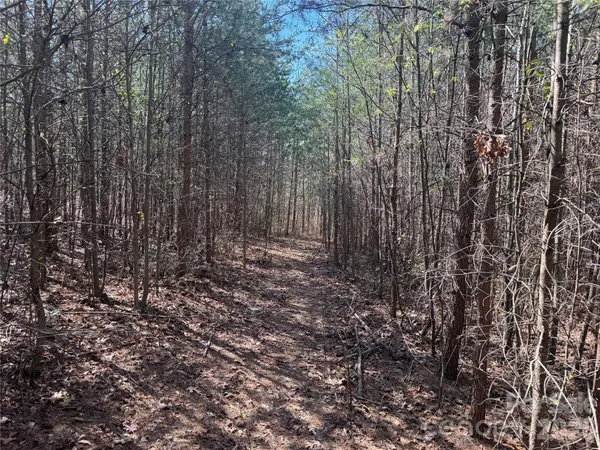 a view of a forest with a houses