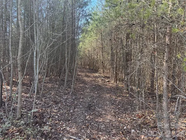 a view of a field of grass and trees