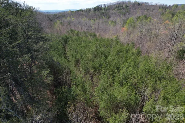a view of a dry yard with green space