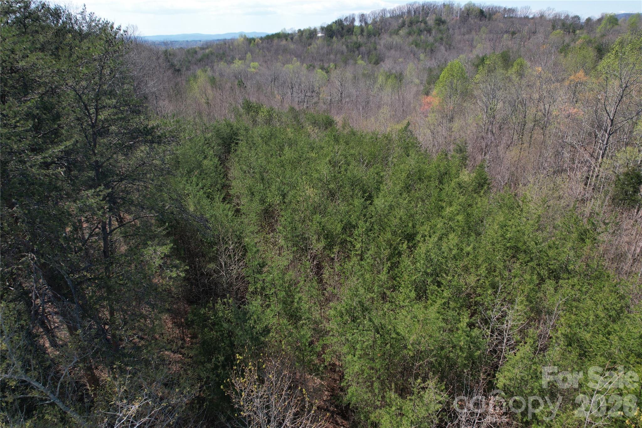 335 Woodrow Hoyle Road Casar, NC 28020 - Photo 25 of 32 a view of a lush green forest with lush green forest