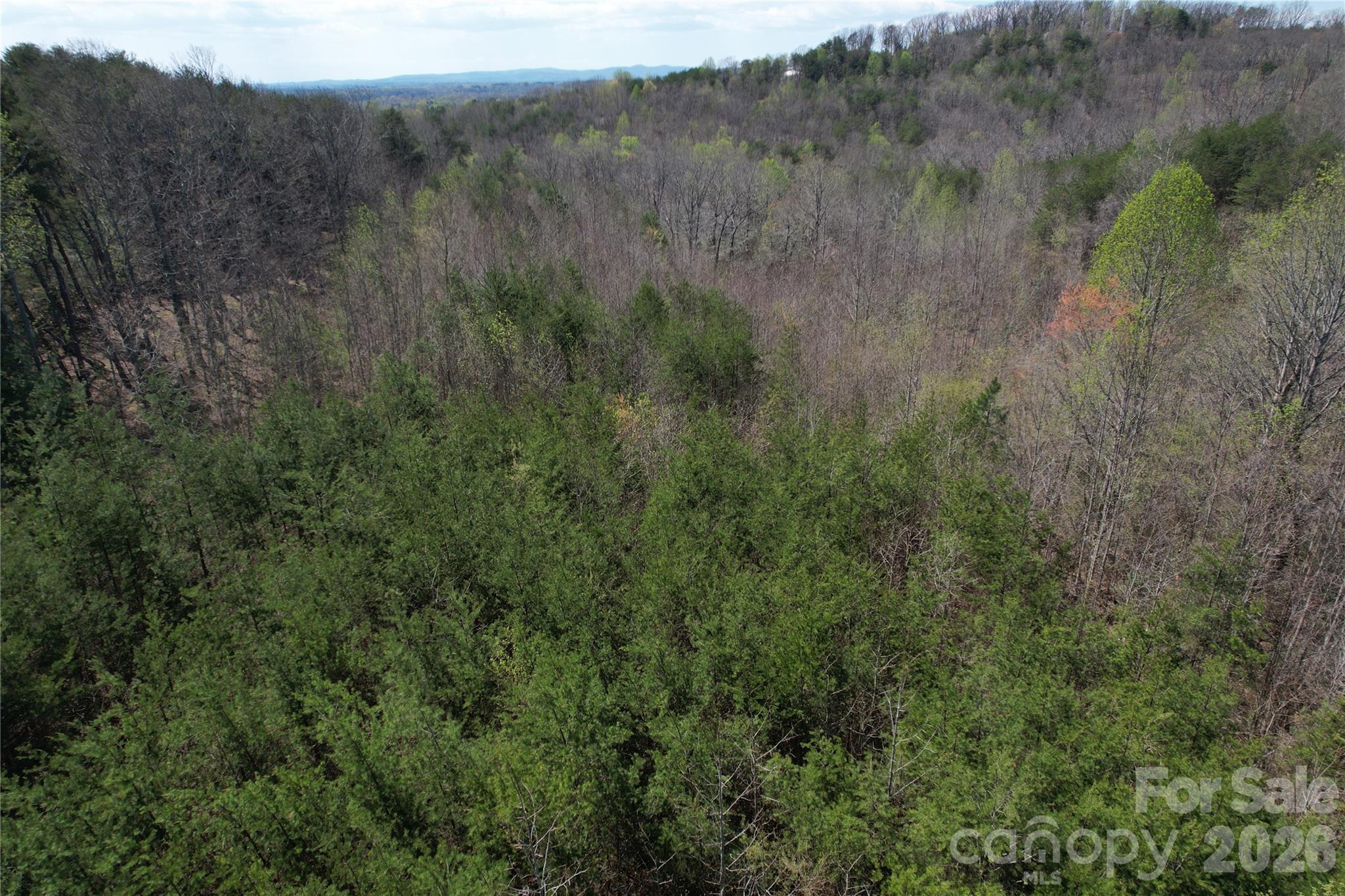 335 Woodrow Hoyle Road Casar, NC 28020 - Photo 26 of 32 a view of a lush green forest with lush green forest