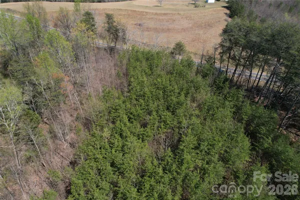a view of a field of grass and trees